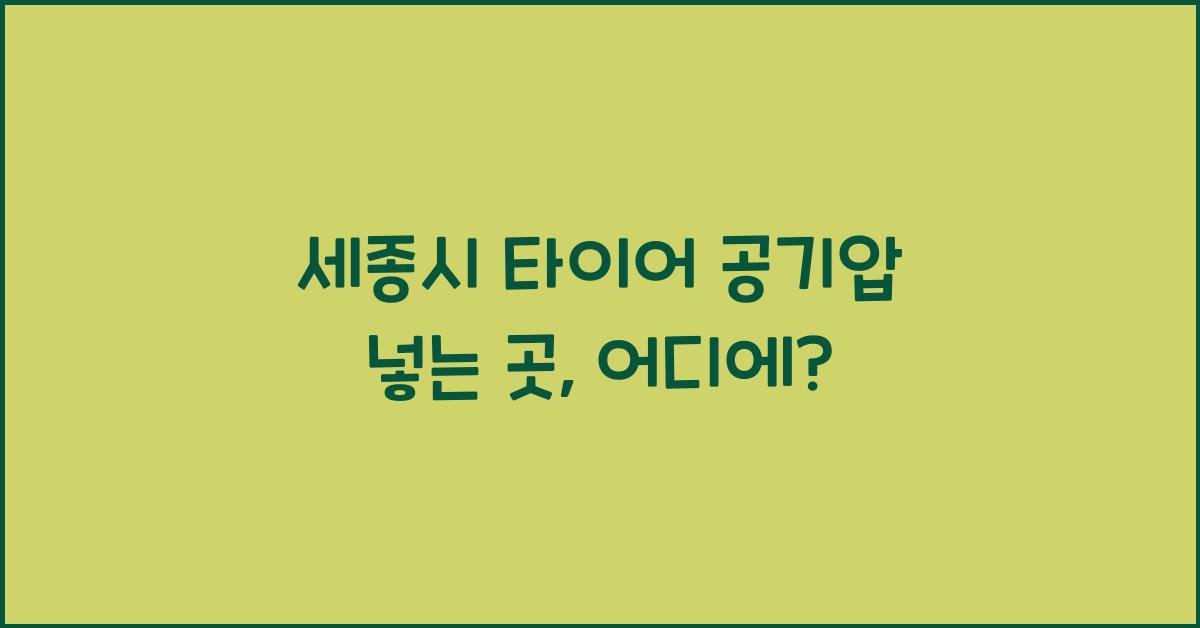 세종시 타이어 공기압 넣는 곳