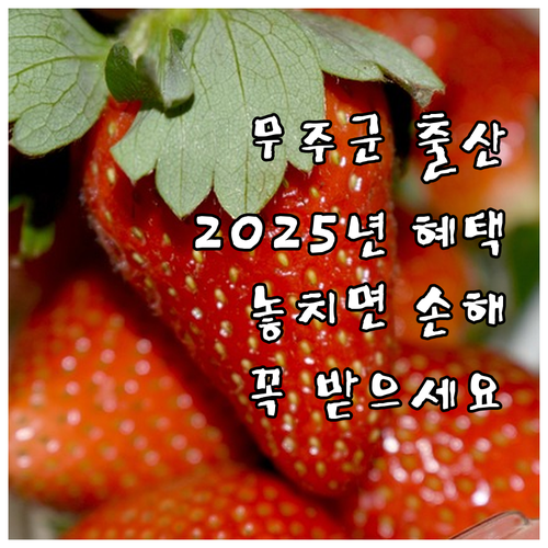 2025년 무주군 출산장려금: 놓치지..