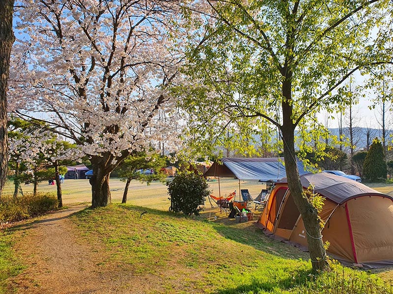 서산 잔디캠핑장 '삼원레저타운' 소개
