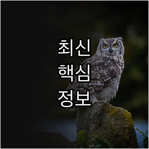 놓치지 마세요 2025 안전복지형 어..