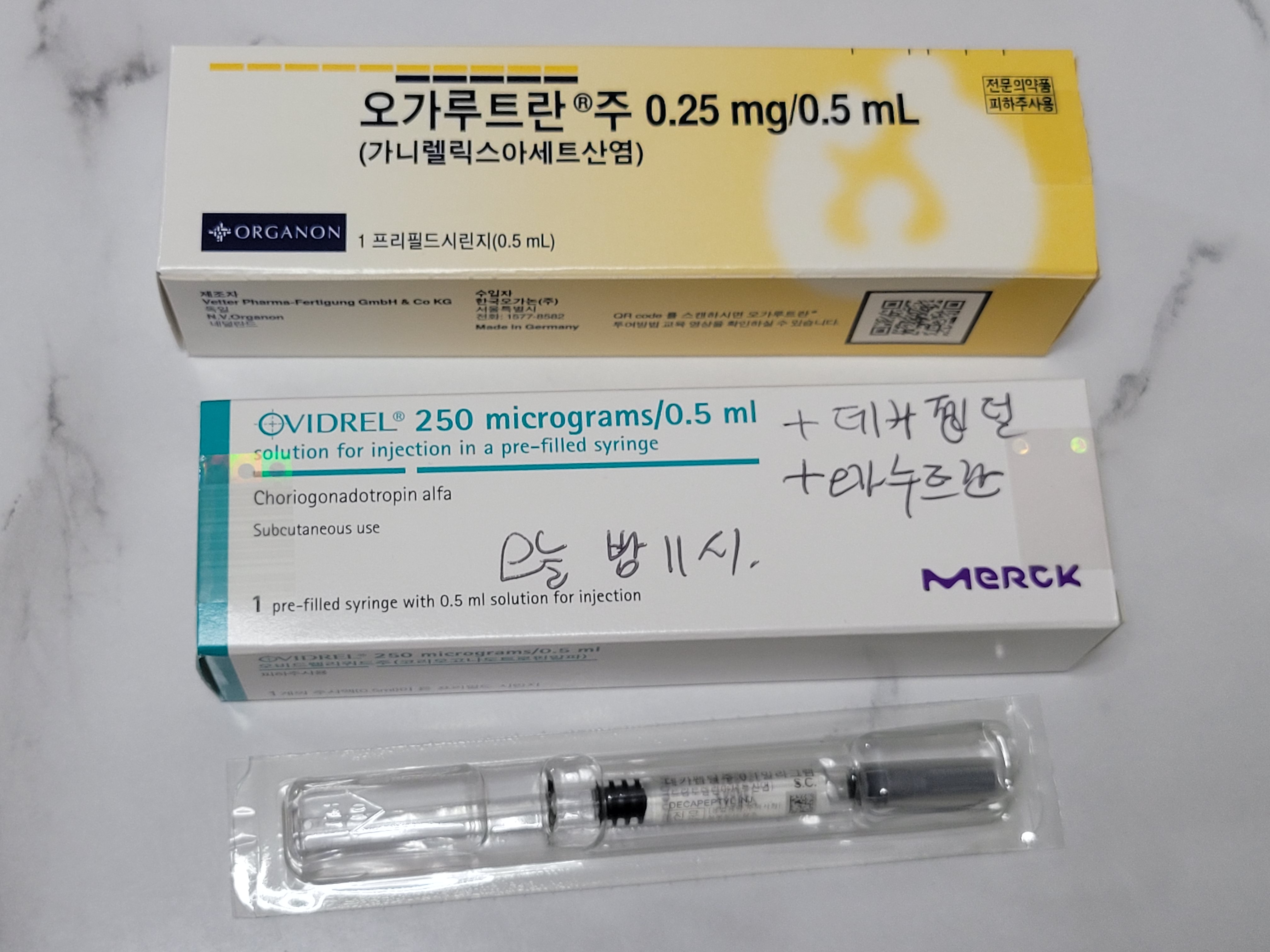 미래와 희망 시험관 2차_ 난자 채취