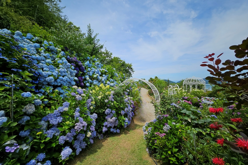 특색 있고 아름다운 민간 정원 30선 추천 여행 - 18. 순천 화가의 정원산책