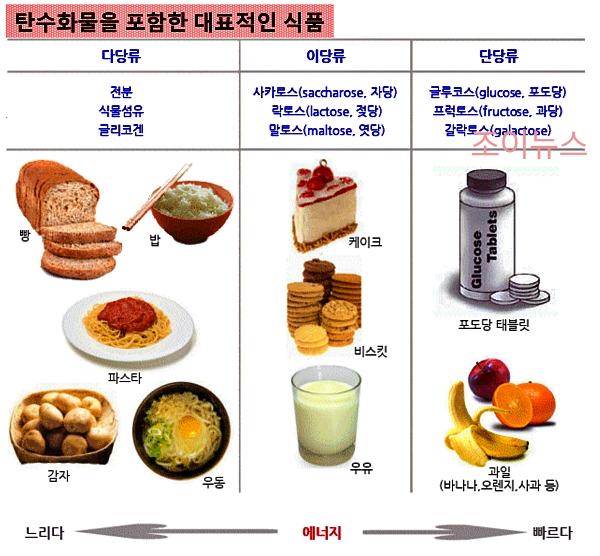 탄수화물을 포함한 대표적 음식들