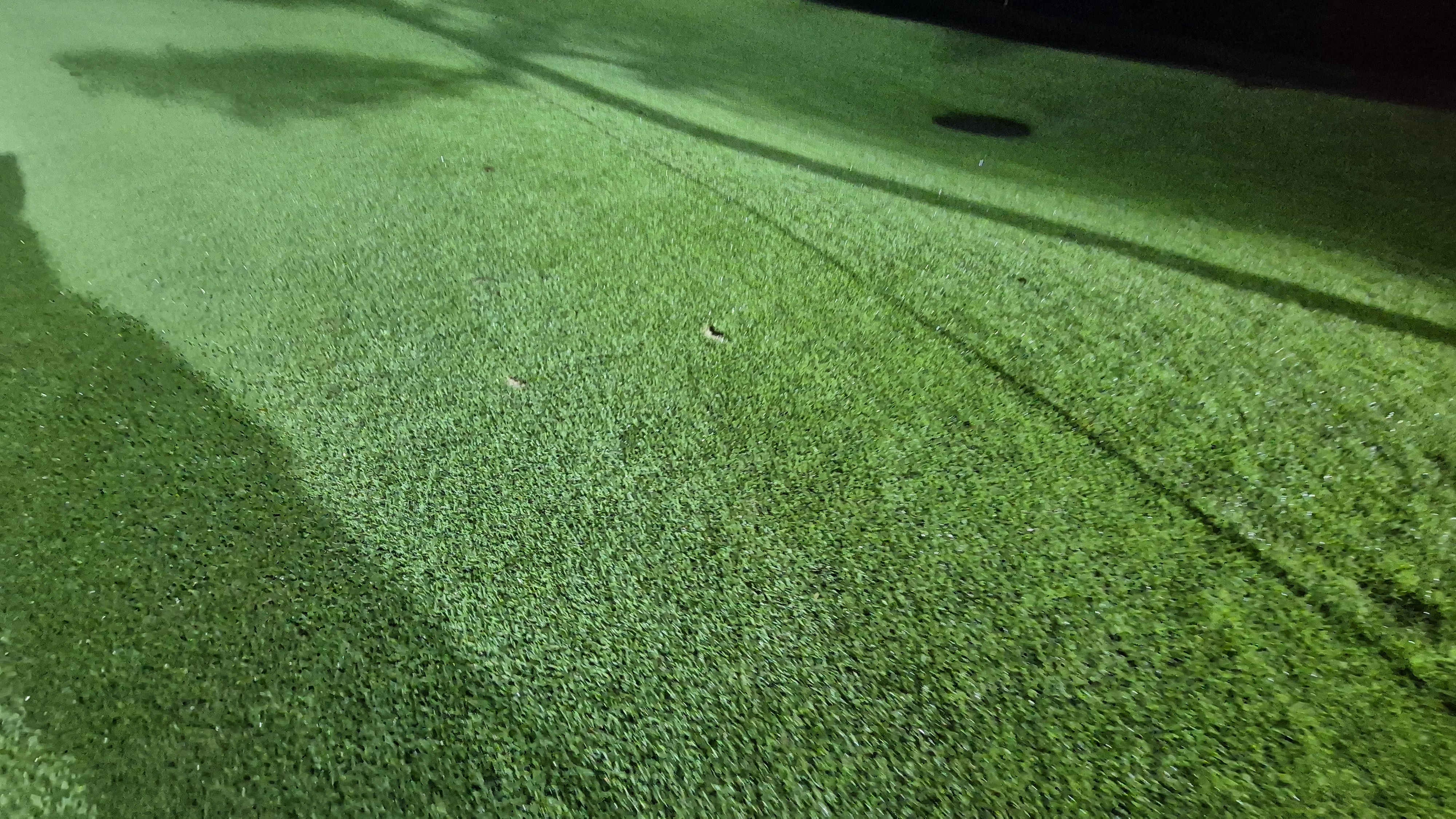 블루원용인cc 코스 관리 상태