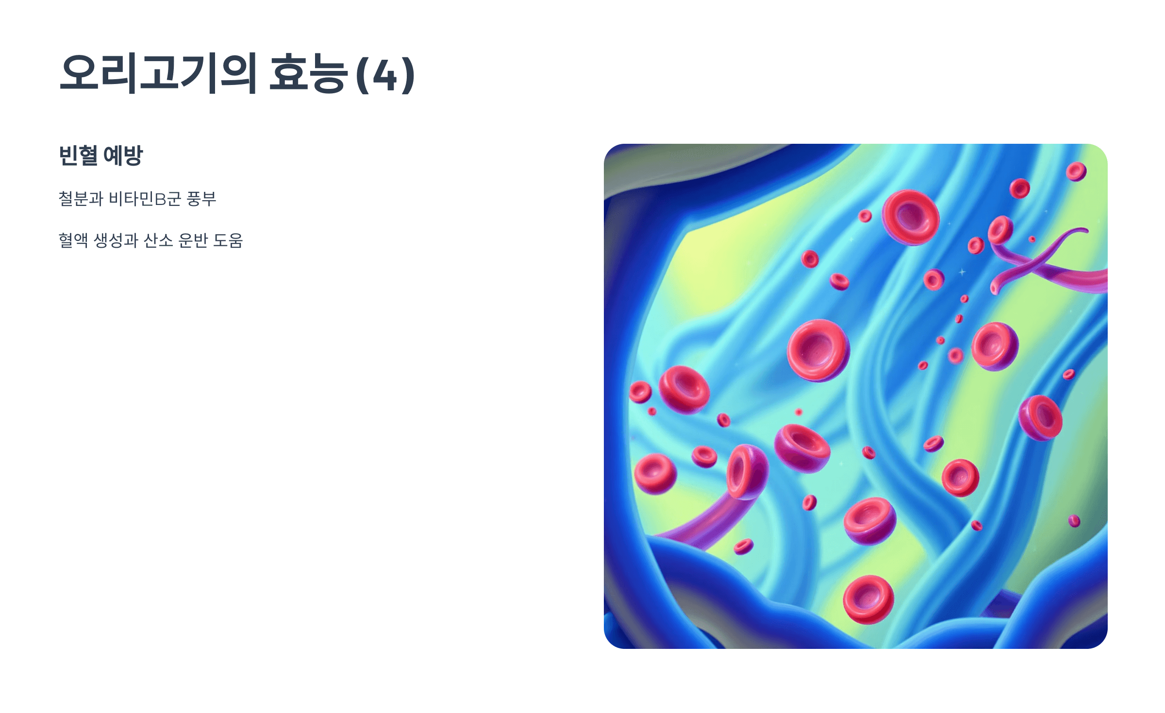 오리 사진입니다.