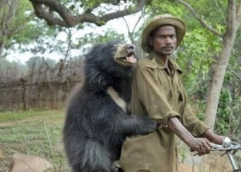 곰이-전전거타고가는-농부-뒤에타서-꼭-잡고가는-모습