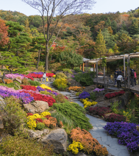 화담숲 예약 입장료 화담채