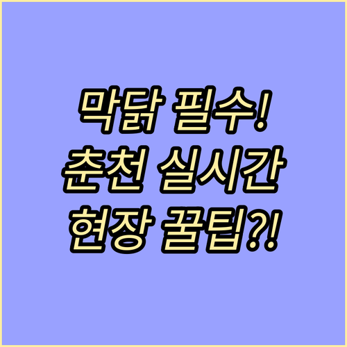 춘천 막닭 축제 당일 실시간 업데이트..