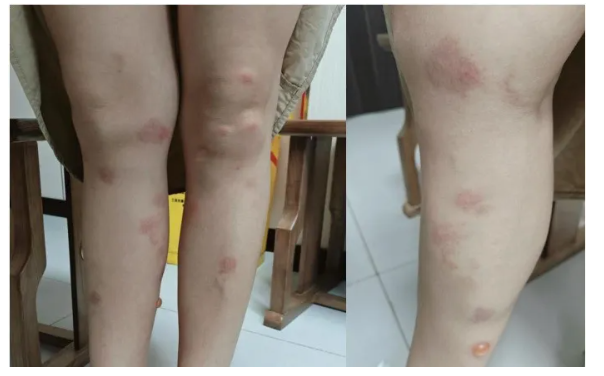 돗자리 관련 중국어뉴스