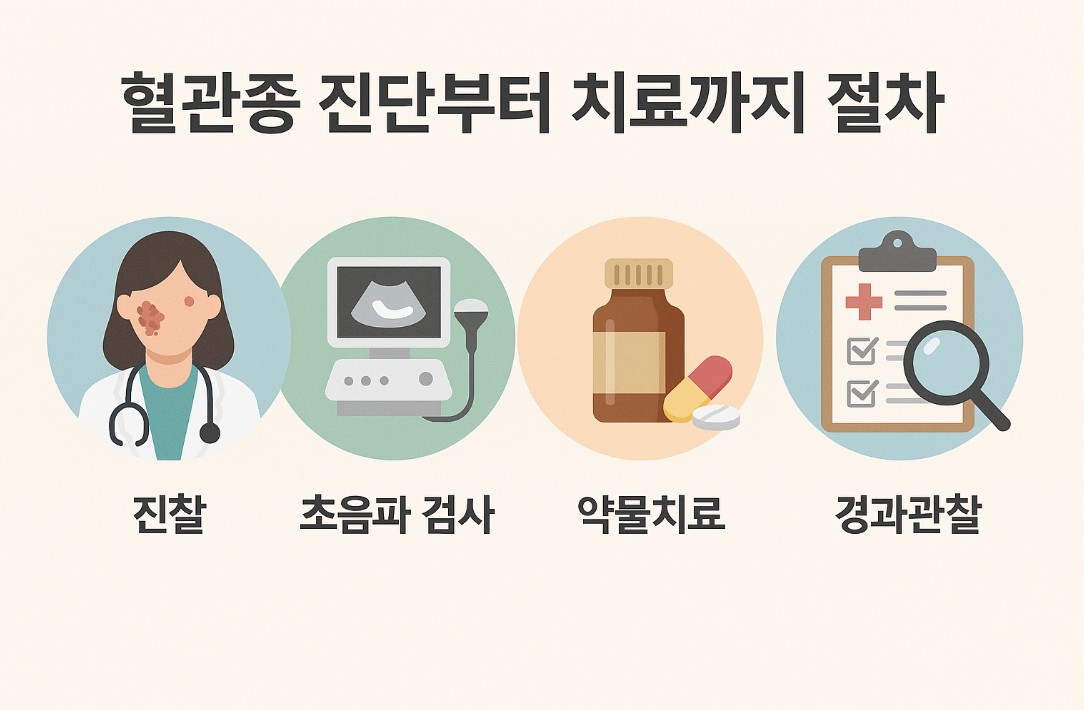 혈관종 진단부터 치료까지의 절차를 설명하는 인포그래픽. 진찰, 초음파 검사, 약물치료, 경과관찰의 순서로 구성되어 있으며 각 단계는 아이콘으로 시각화됨