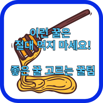 이런 꿀은 절대 먹지 마세요! 좋은 꿀 고르는 꿀팁