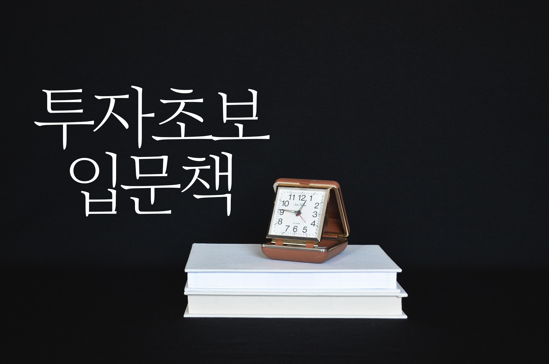 투자책 관련 사진