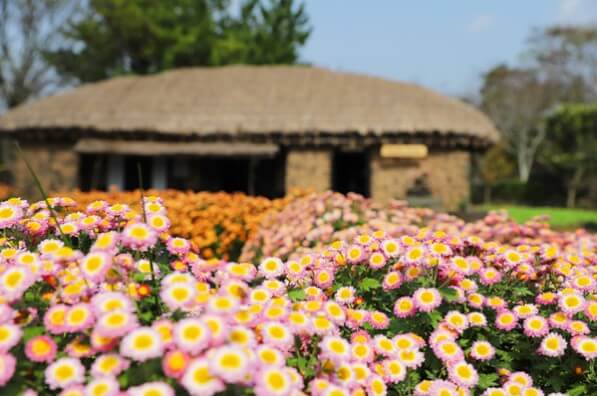 24년 11월 전국 가을축제