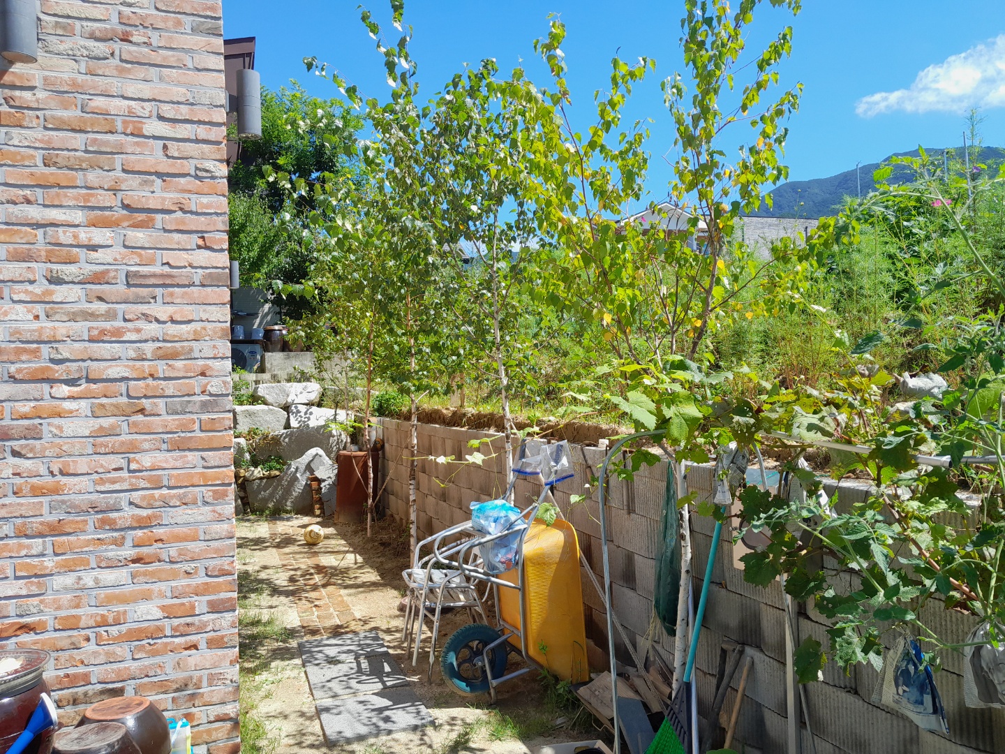 전원주택 나무식재