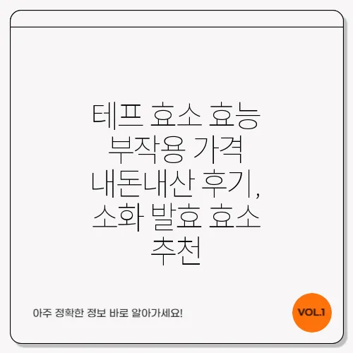 테프 효소 효능 부작용 가격 내돈내산 후기, 소화 발효 효소 추천
