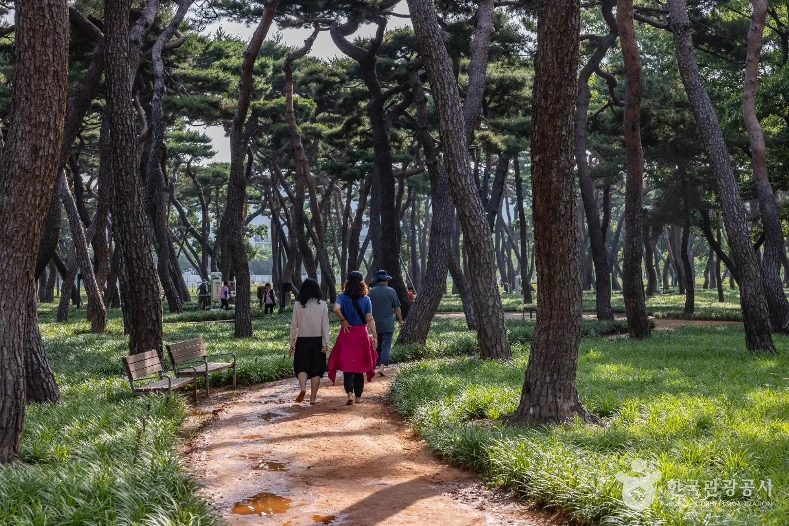 61d42e1d-303f-4af8-b77a-220f1a61d41d