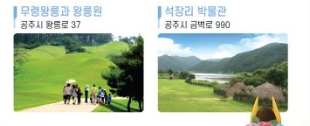 2025 유구색동수국정원 꽃 축제
