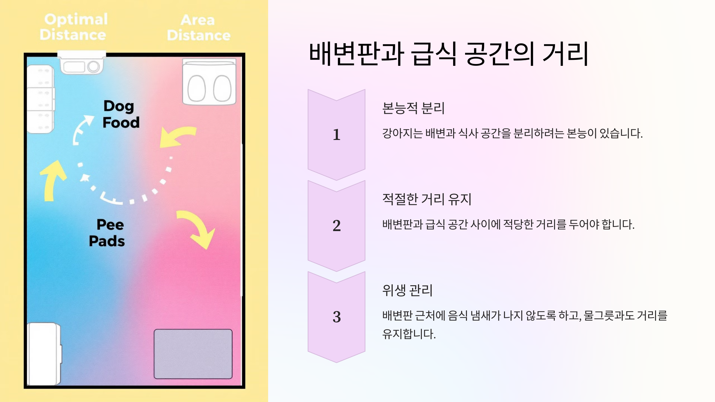 배변판과 급식 공간의 적절한 거리 유지