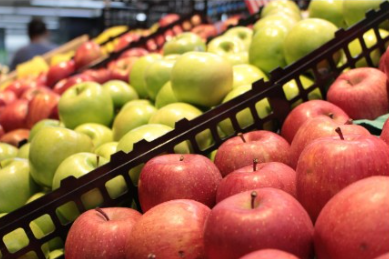 민생회복지원금 경기