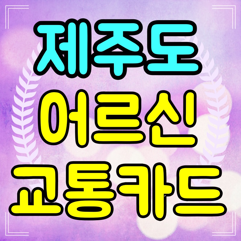 제주-어르신-교통카드