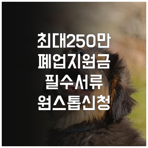 소상공인 희망리턴패키지 원스톱폐업지원..