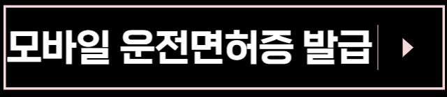 모바일-운전면허증-발급받기