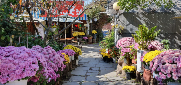 생생정보 도토리묵 파주