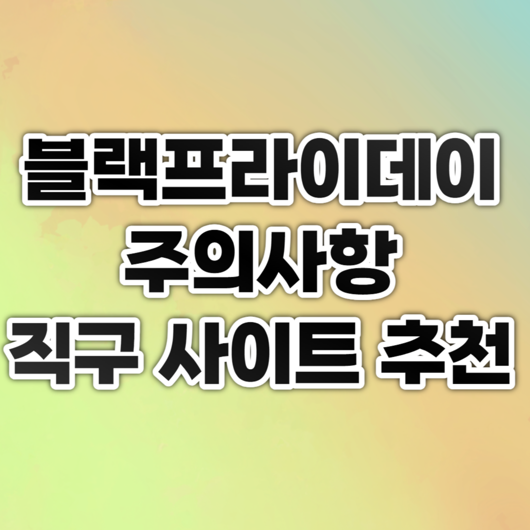 블랙프라이데이 주의사항 직구사이트 추천