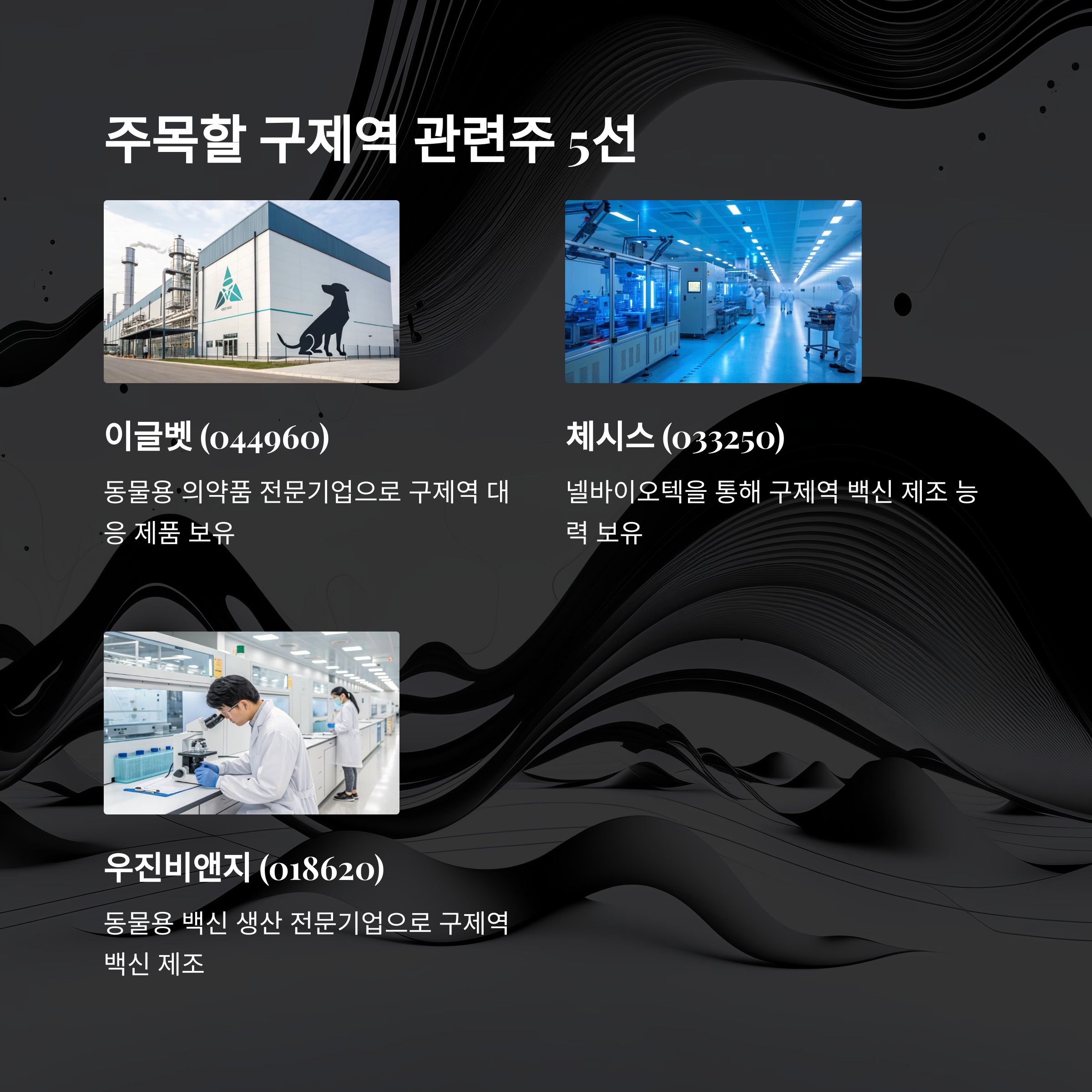 구제역 관련주, 지금이 기회?! 주식 시장 반응 대공개!