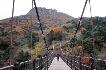 제주 한라산 단풍