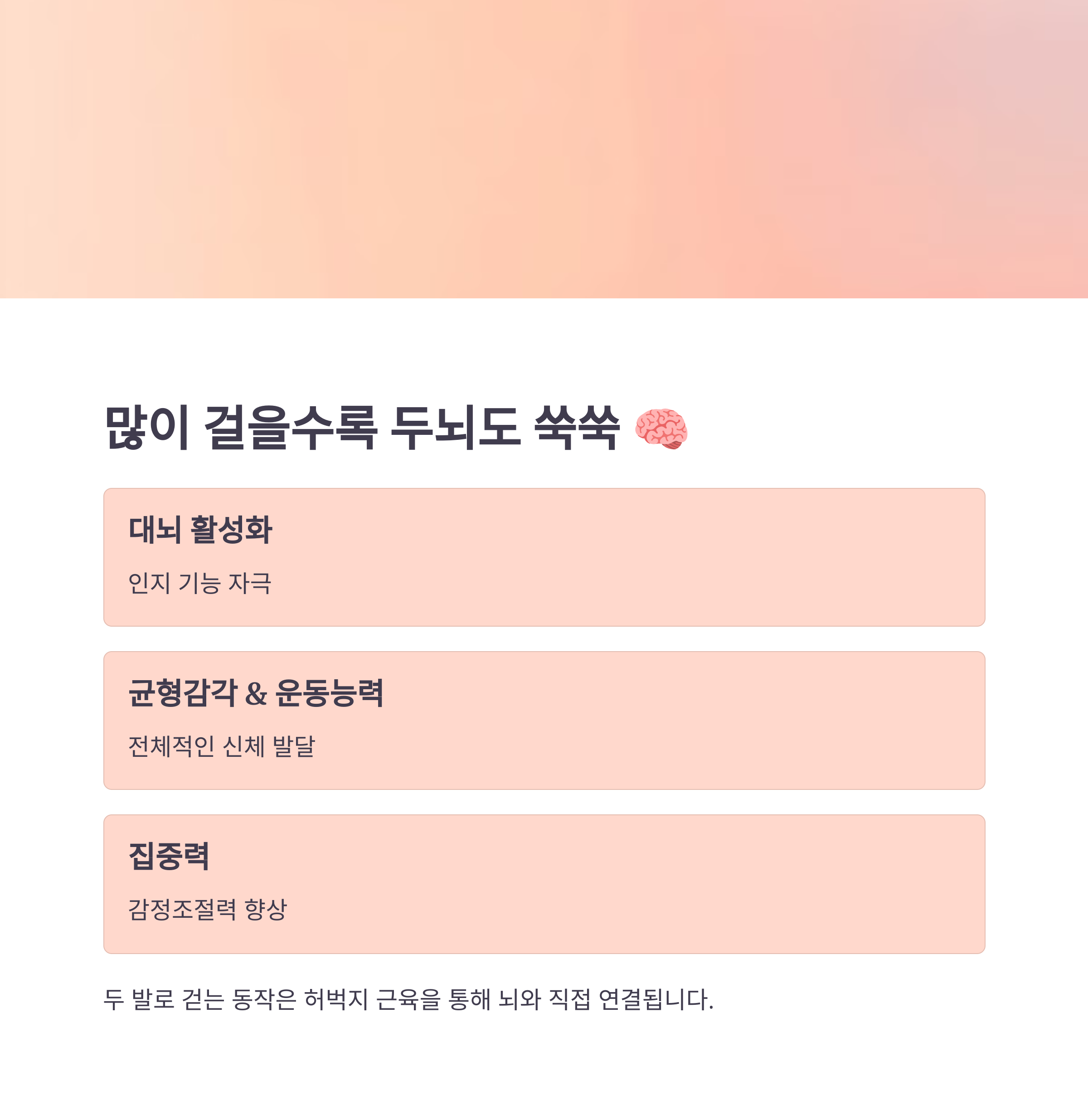 걸음마 효과 – 많이 걸을수록 두뇌 발달에도 도움됨