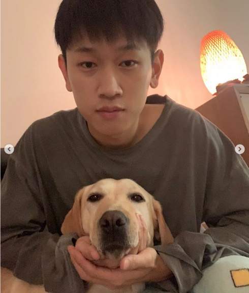 크러쉬 프로필