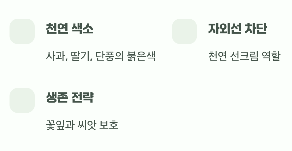 붉은색의 마법, 안토시아닌의 역할