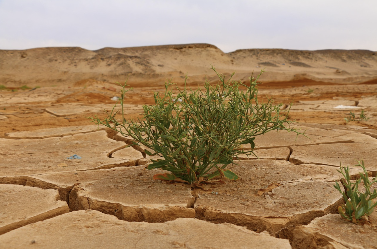미제로 남은 진실이 드러낸 사회와 인간의 그림자를 보여주는 영화 살인의 추억