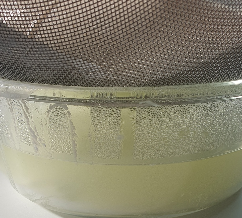 발효된 요거트 유청 이 빠르게 떨어 지고 있다