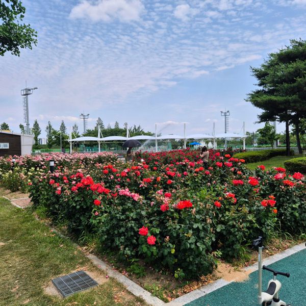 수성패밀리파크