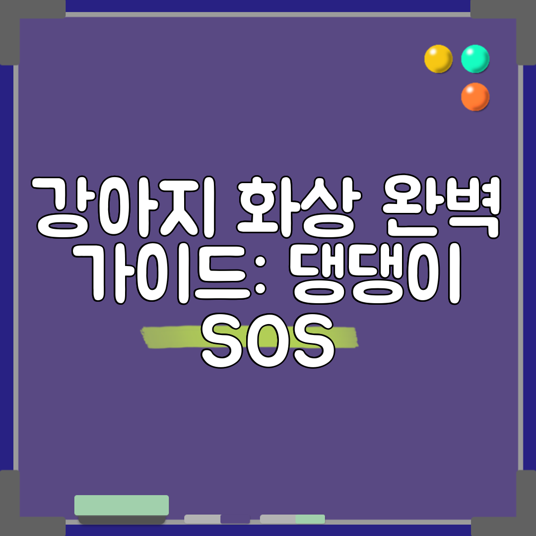 강아지 화상 완벽 가이드 댕댕이 SOS