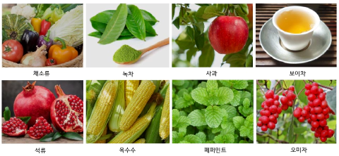 입냄새에 도움이 되는 음식 사진