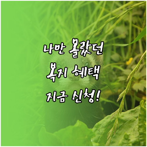 정부가 먼저 알려주는 복지 혜택 복지..