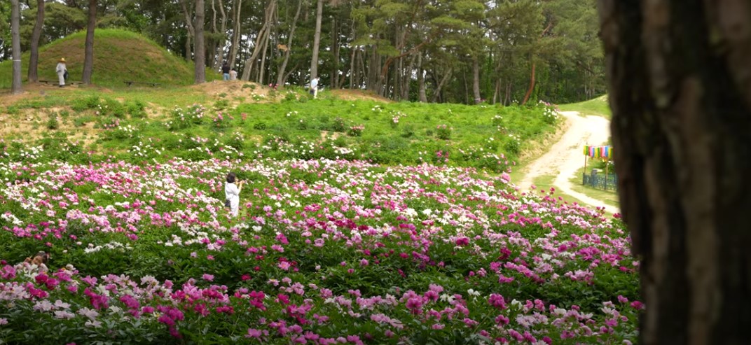 5월에 꼭 가봐야 할 적국 봄꽃 명소