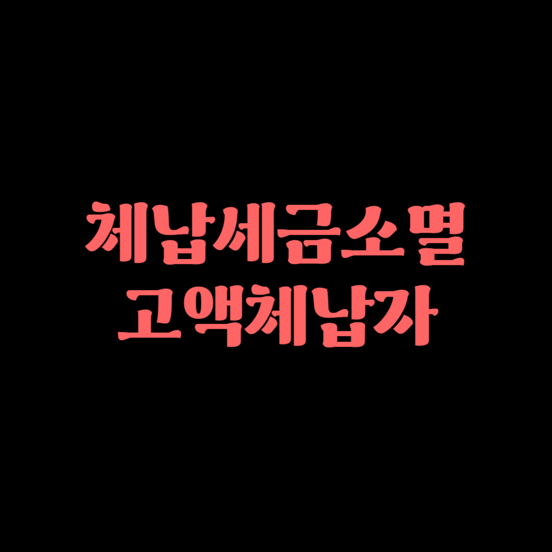체납세금소멸, 고액체납자, 세금체납, 국세징수권, 세금소멸시효, 체납처분, 세금감면, 세금분납, 조세불복, 세금문제, 경제상식, 세금정책, 세무상담, 국세청, 재산압류, 세금독촉, 세금연체, 조세제도, 세무컨설팅, 고액체납자대책, 국세청정책, 조세정책, 세금문제해결, 세법, 체납세
