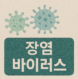 장염 증상