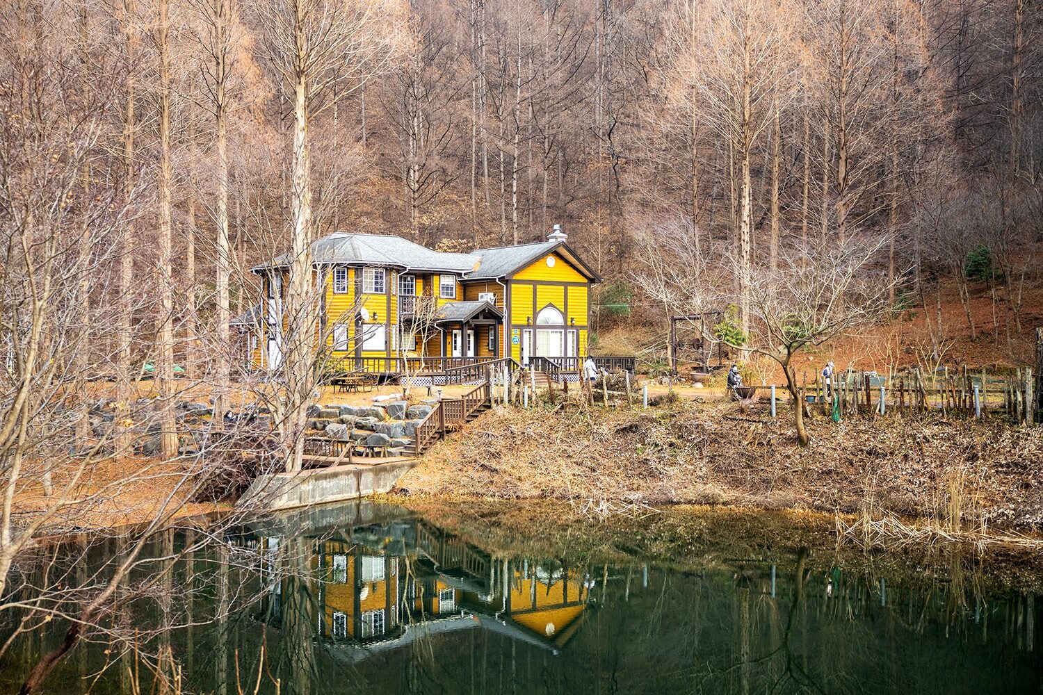 논산 온빛자연휴양림 단풍 명소 예약