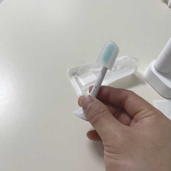 샤오미 전동칫솔 T500