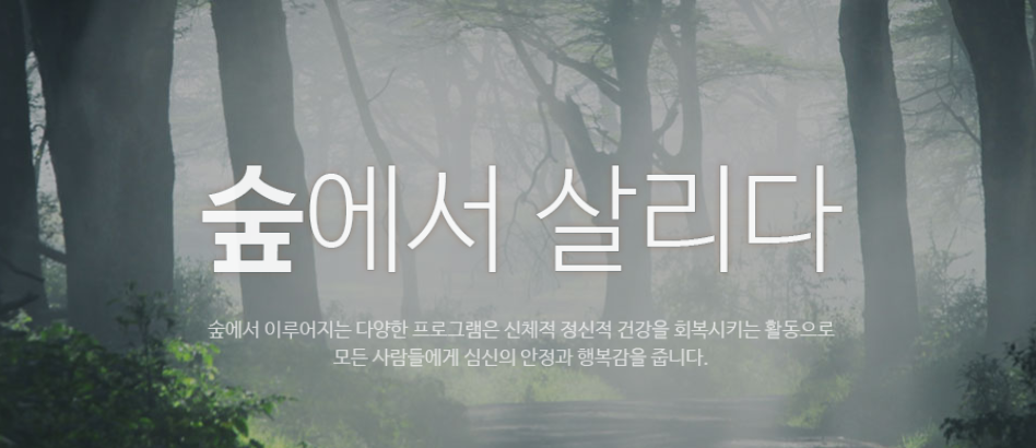 서울대 안양수목원 58년만에 개방, 체험 프로그램 예약방법 알아보기