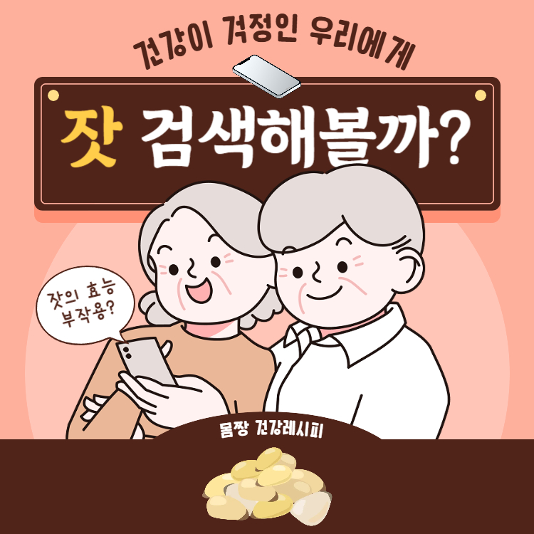 잣 효능 부작용 완벽정리(+ 잣 요리 하루섭취량 칼로리)