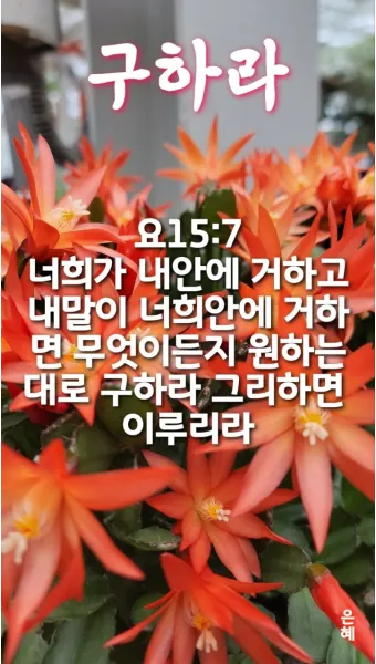 성경말씀 묵상 성경구절 문구 모음_18