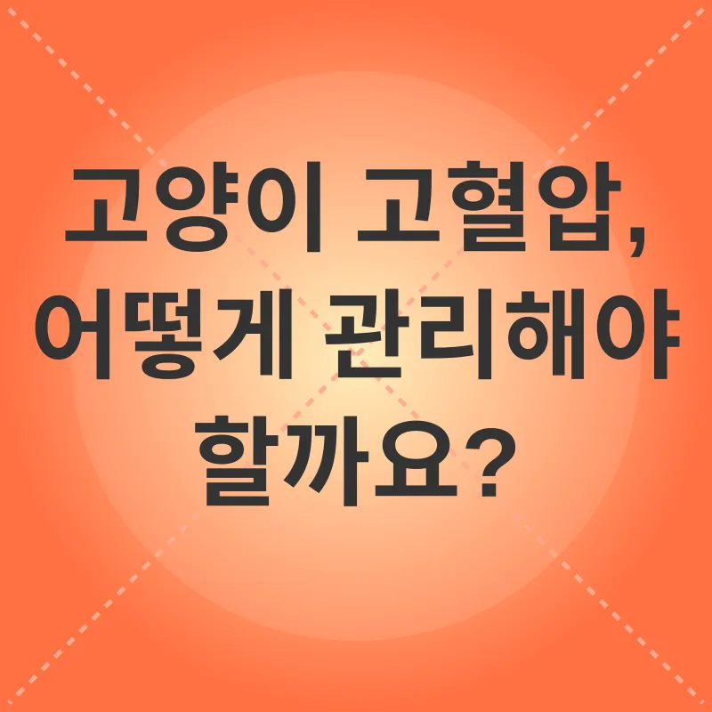 고양이 고혈압 관리_3