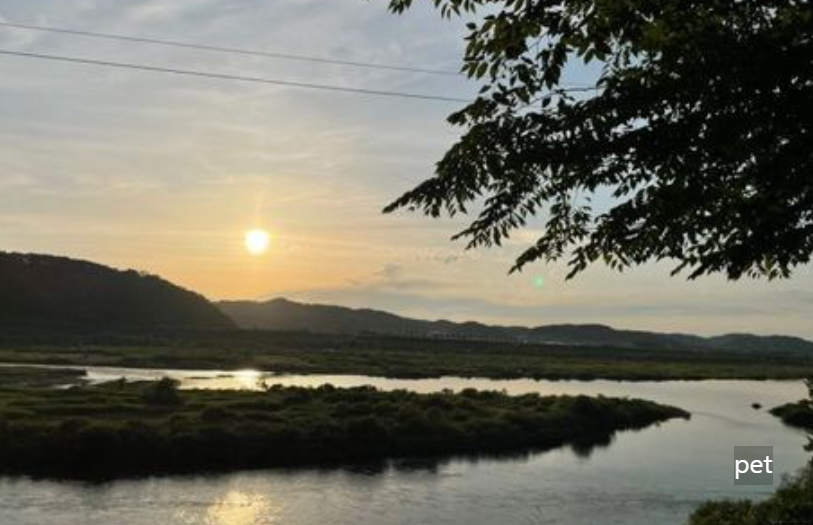 경기-연천-물꽃캠핑장-예약-방법-애견-동반-가격-주소-시간-후기