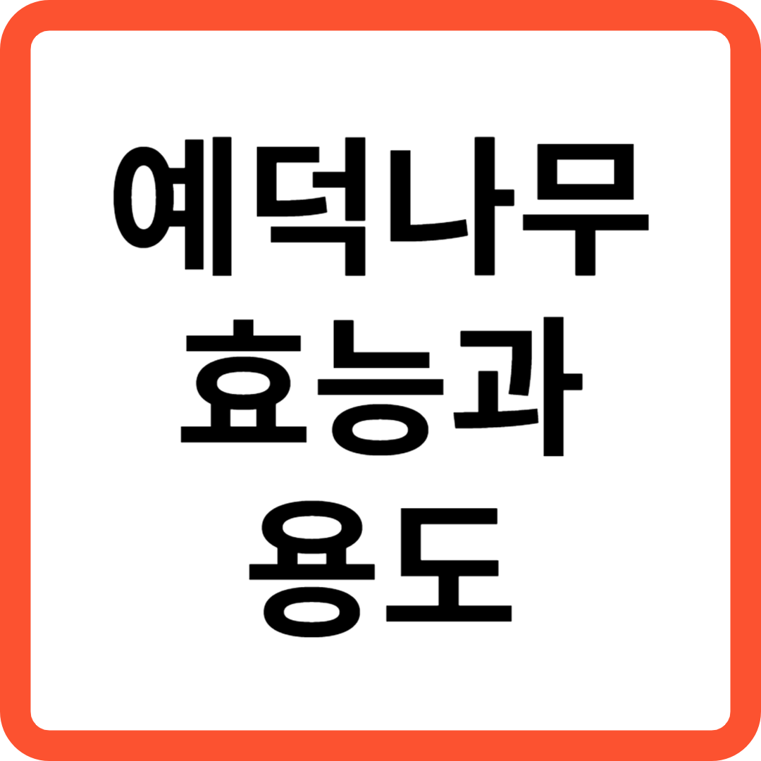 예덕나무 효능과 용도